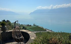 Panoramic Room In The Vineyard,Stunning Views Of Lake And Alps